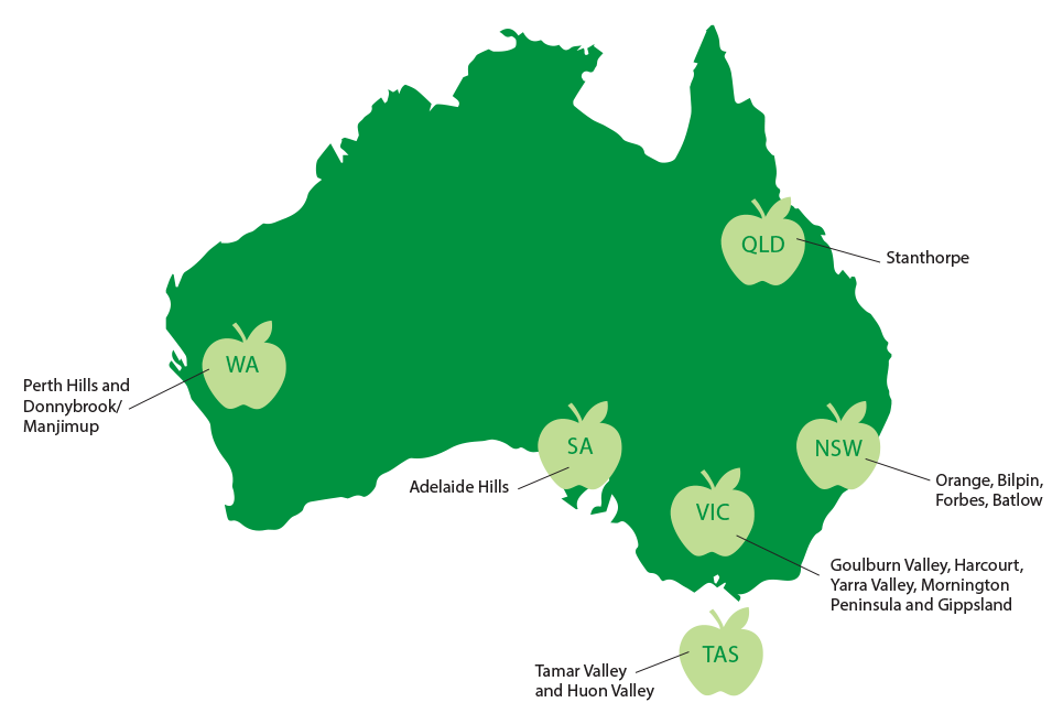 About Aussie Apples