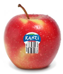 Kanzi